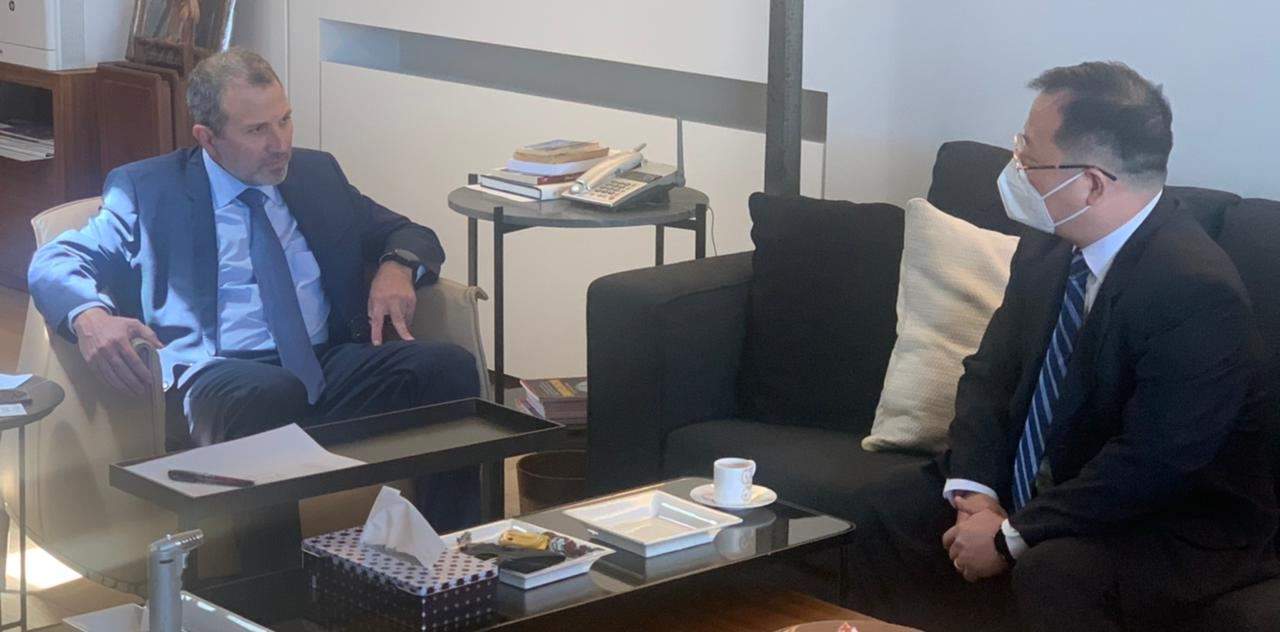 باسيل استقبل المنسّقة الخاصة للأمم المتحدة وسفير الصين