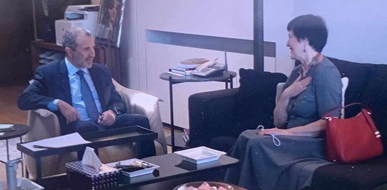 باسيل يستقبل فرونتسكا وسفير الصين: لمسح شامل للنازحين السوريين وتشجيعهم على العودة