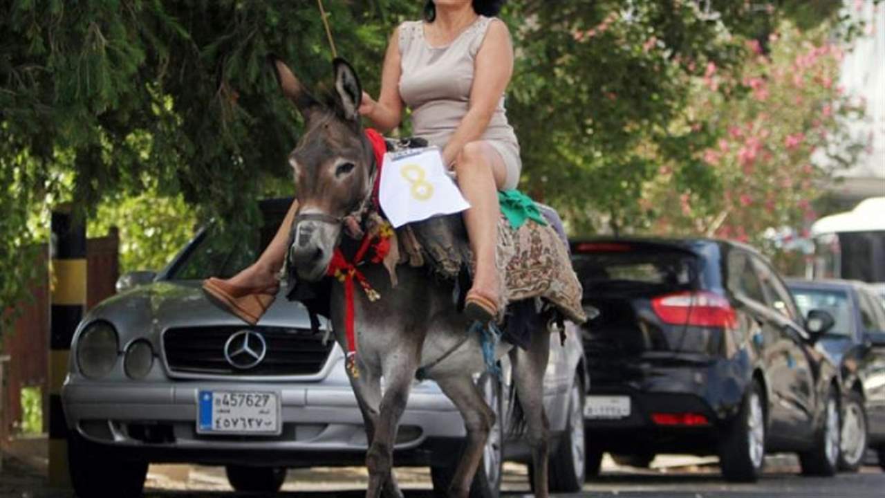 "الأخبار": أسعار الحمير والبغال.. "الشي التاني" صعب المنال!