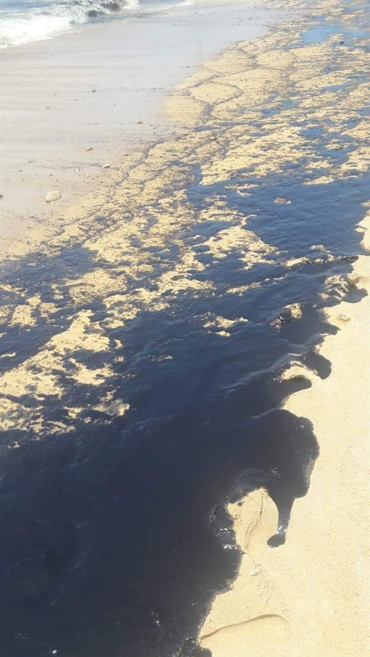 النائب بلال عبد الله: تلوث شاطئ الجية اليوم من فوضى البواخر...