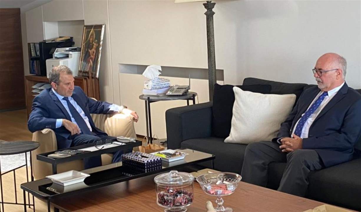 باسيل شرح لسفيري تشيكيا وبلغاريا العوائق التي تحول دون تأليف الحكومة