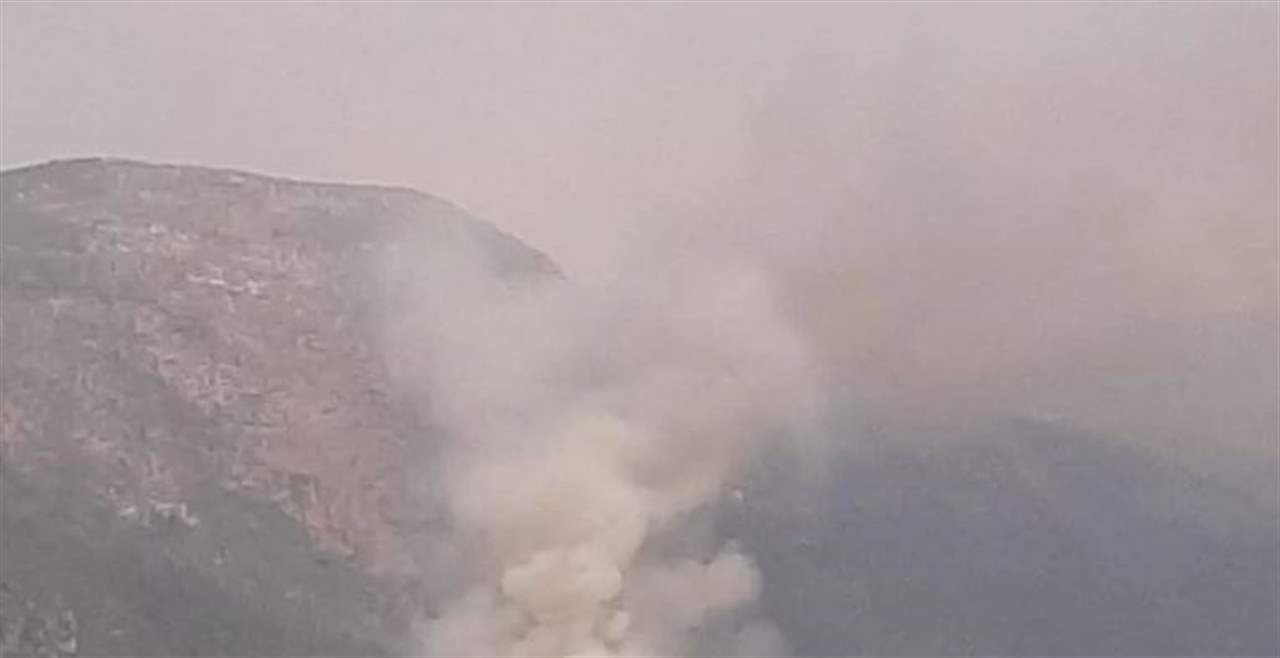 "الوكالة الوطنية": حريق كبير في الغابات المحيطة ببحيرات عيون السمك ومناشدة بإطفائه