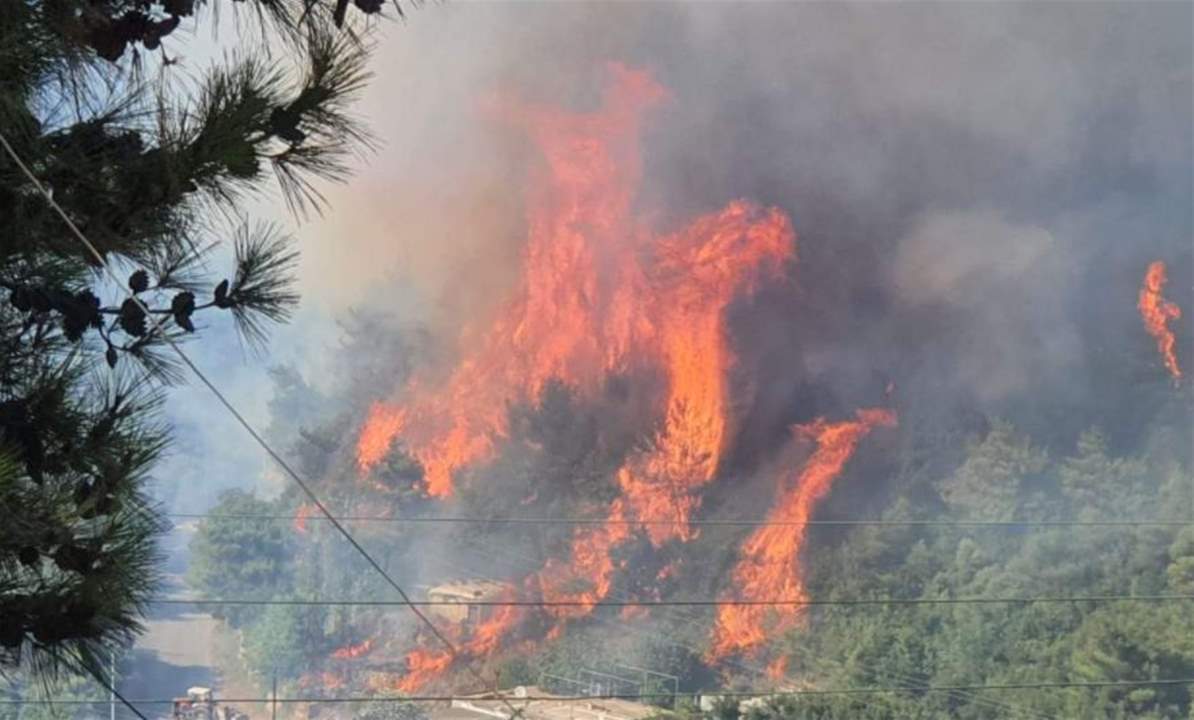 بالفيديو - حريق هائل في غابات القطلبة في القبيات 