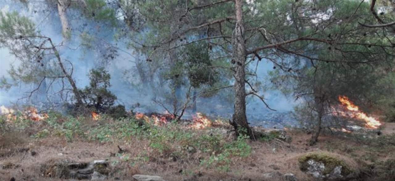 حريق القبيات الهرمل ما زال مستعرا وعمليات الاطفاء مستمرة 