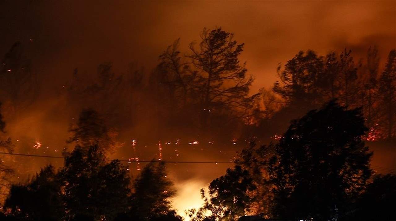 بالفيديو ـ عشرات الجرحى في حريق غابات جنوب تركيا