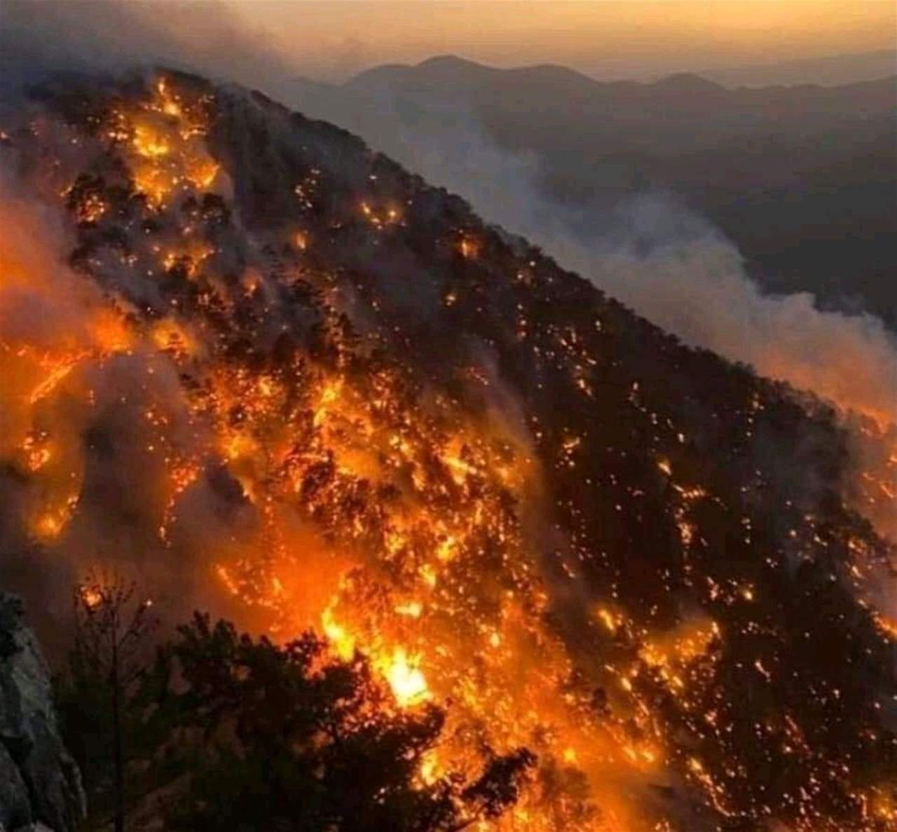 ارتفاع عدد قتلى حرائق الغابات في تركيا.. وأردوغان يعلق 