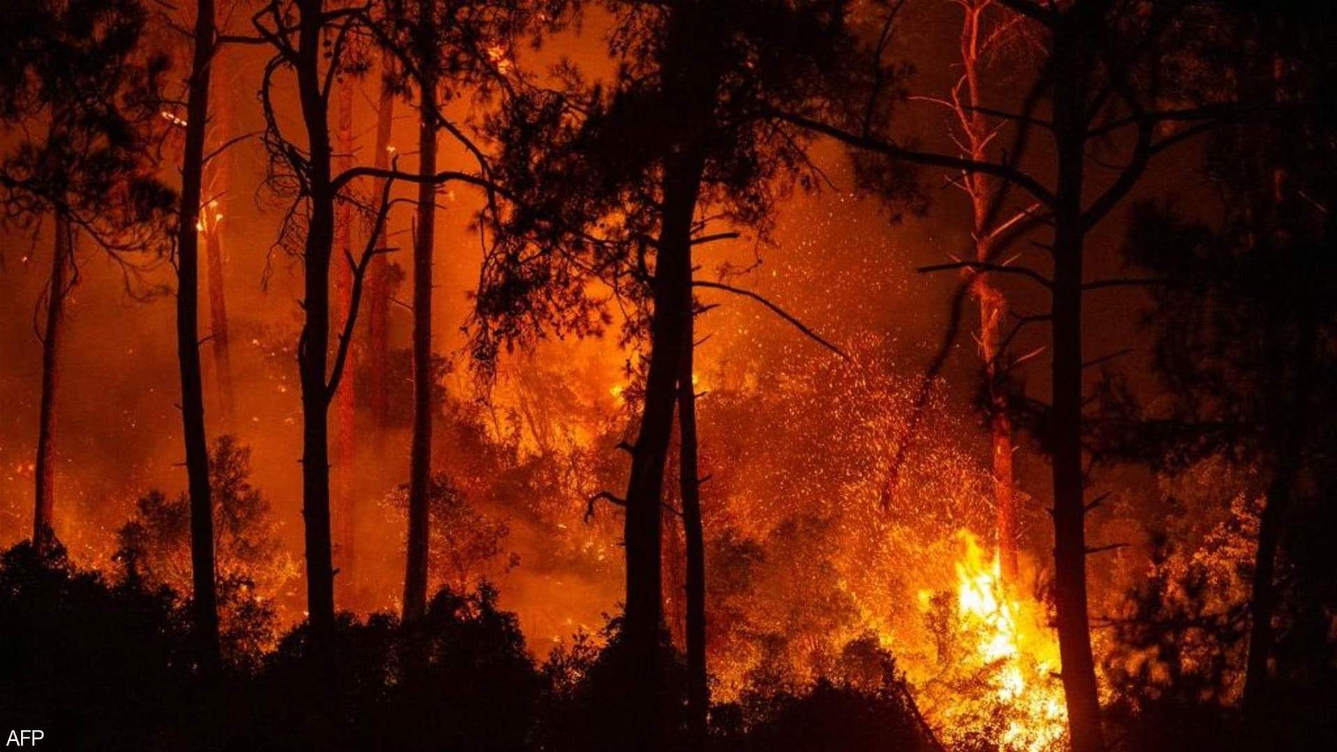 بالصور والفيديو - حرائق الغابات تلتهم شمال أثينا و آلاف اليونانيين يفرون من منازلهم