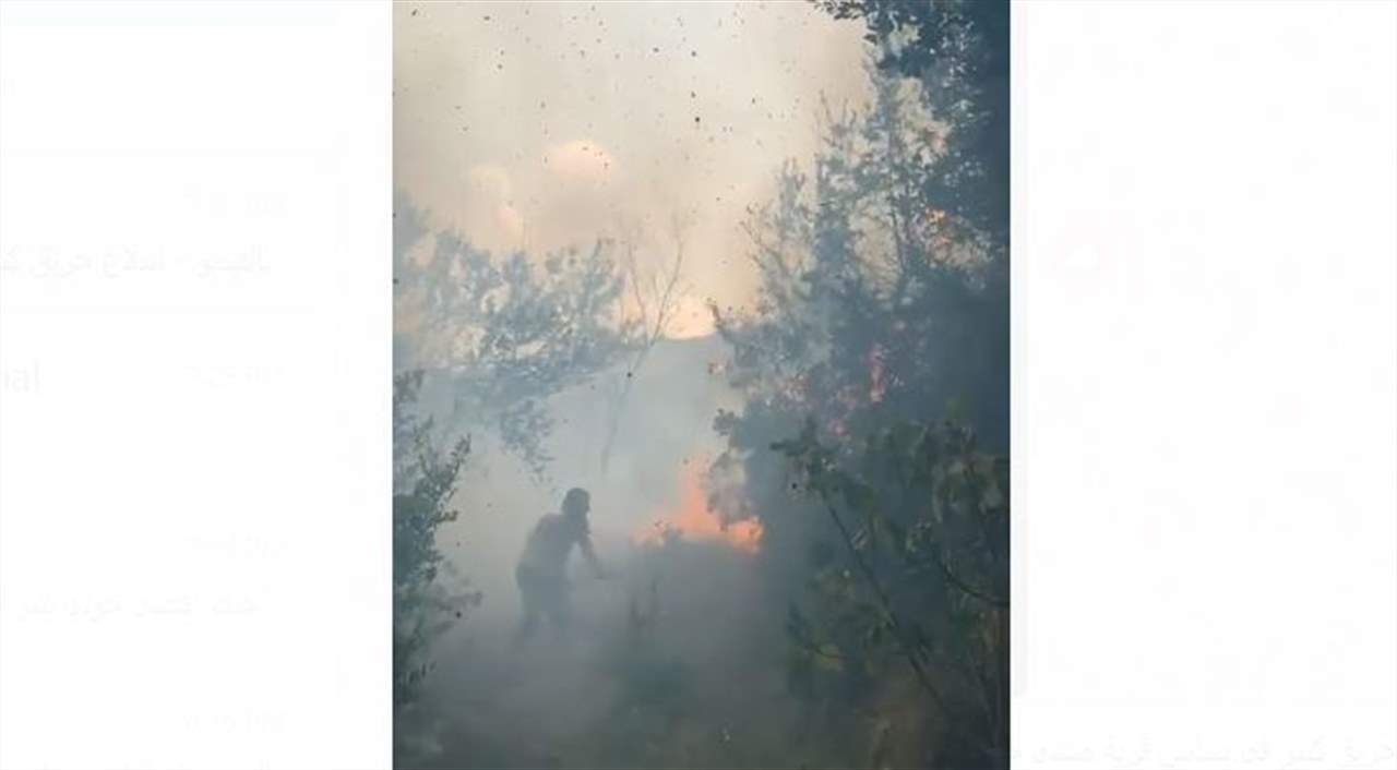 بالفيديو - اندلاع حريق كبير في بساتين بلدة مشتى حسن العكارية