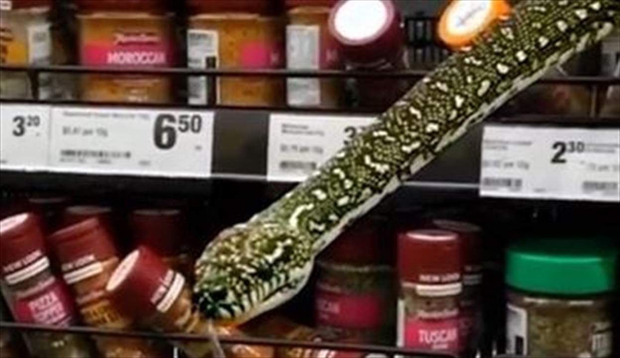 بالفيديو - ثعبان بين رفوف التوابل في سوبر ماركت