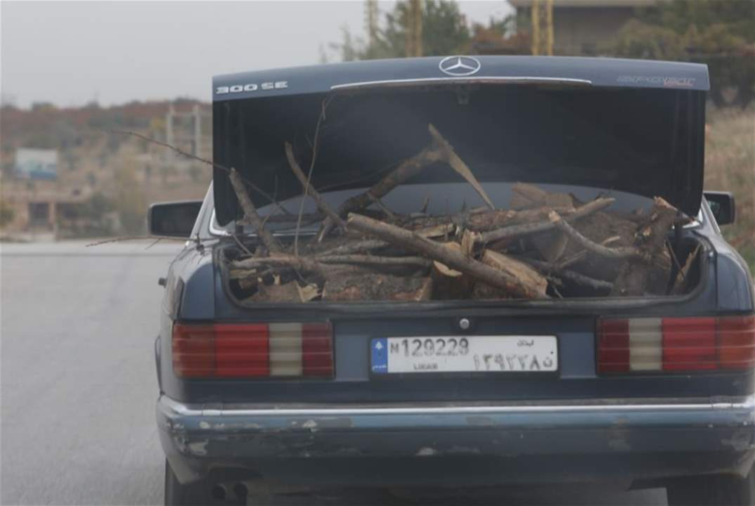  تهافت على جمع الحطب.. وحلول مجانية للتدفئة