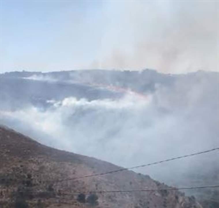 بالفيديو- حريق كبير بين بلدة ديرنطار وحاريص في الجنوب 