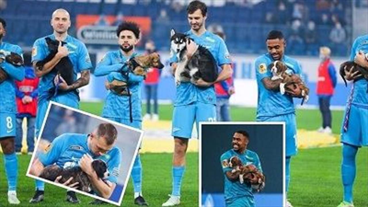 بالفيديو - اللاعبون دخلوا الملعب حاملين كلاباً !!