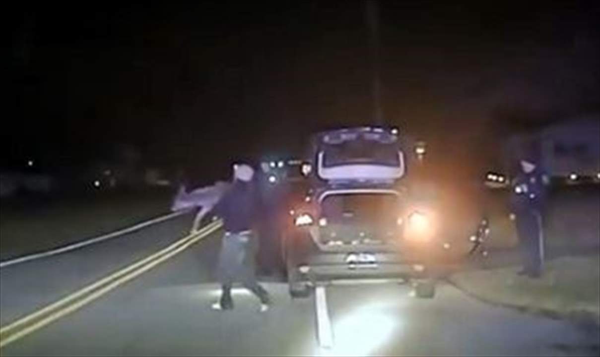 بالفيديو - غزال حيّ في صندوق السيارة !!