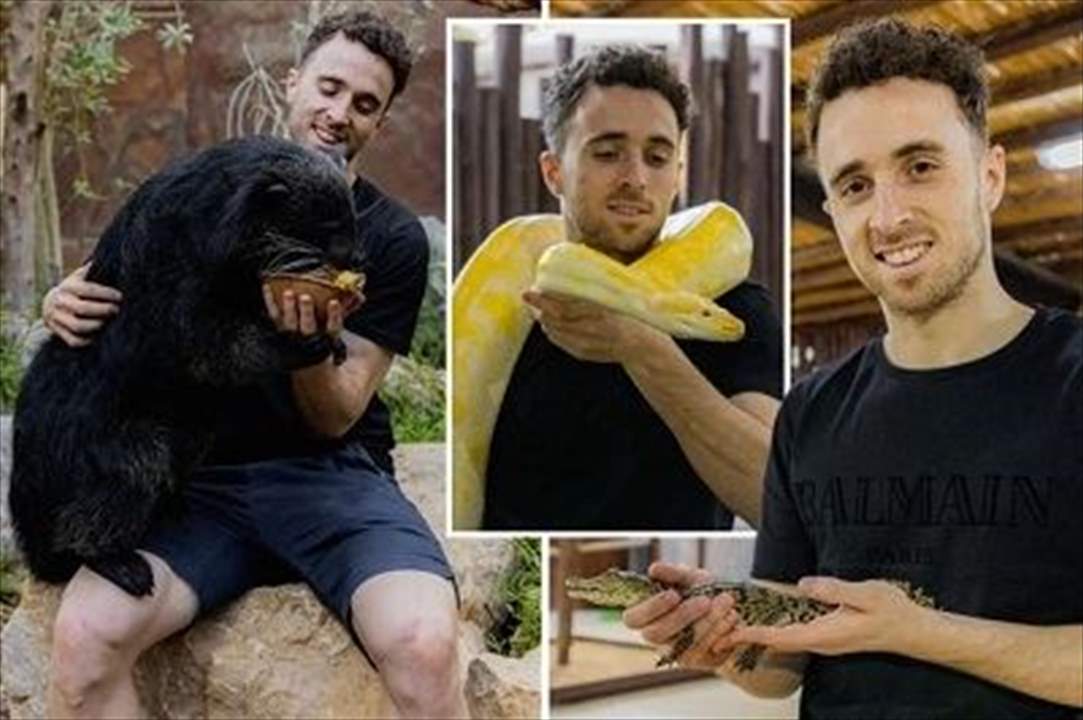 بالصور - نجم ليفربول حارساً لحديقة الحيوانات !!