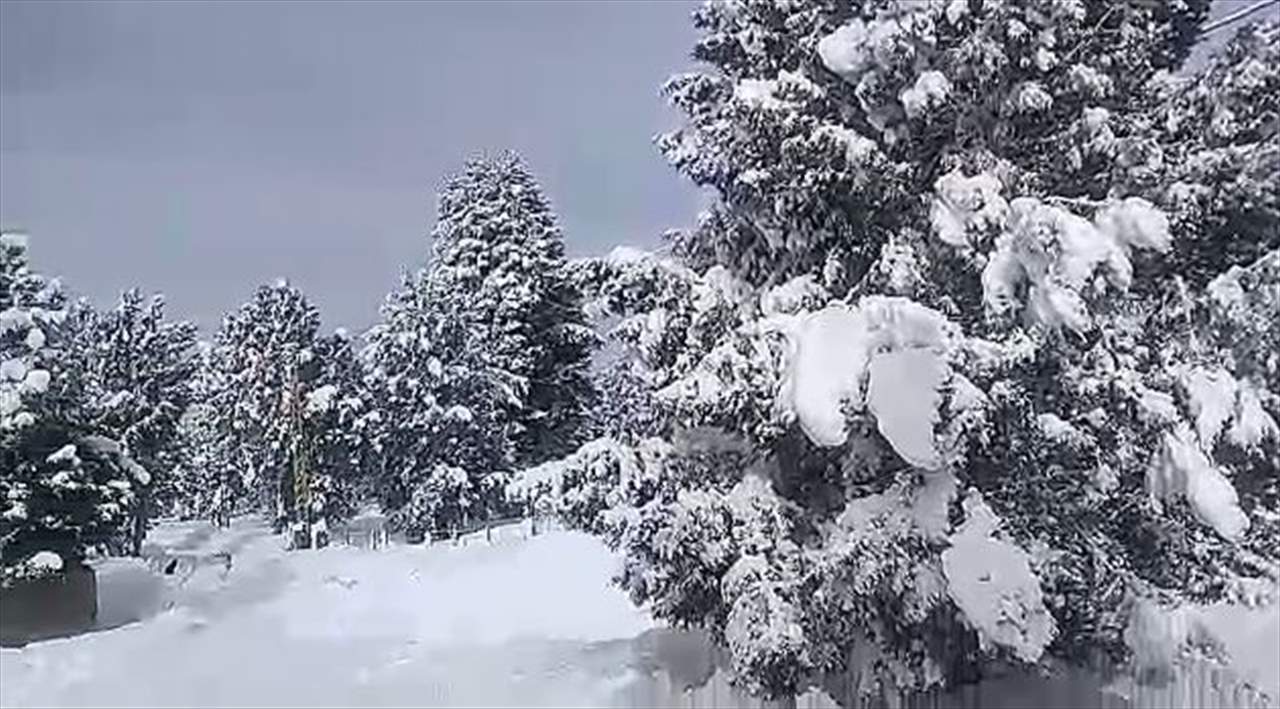 تجدد العاصفة الثلجية في عكار والثلوج تقطع الطرقات