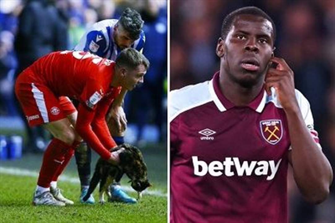 بالفيديو والصور - دخلت القطّة الملعب صدفة فأنقذها اللاعب على الهواء
