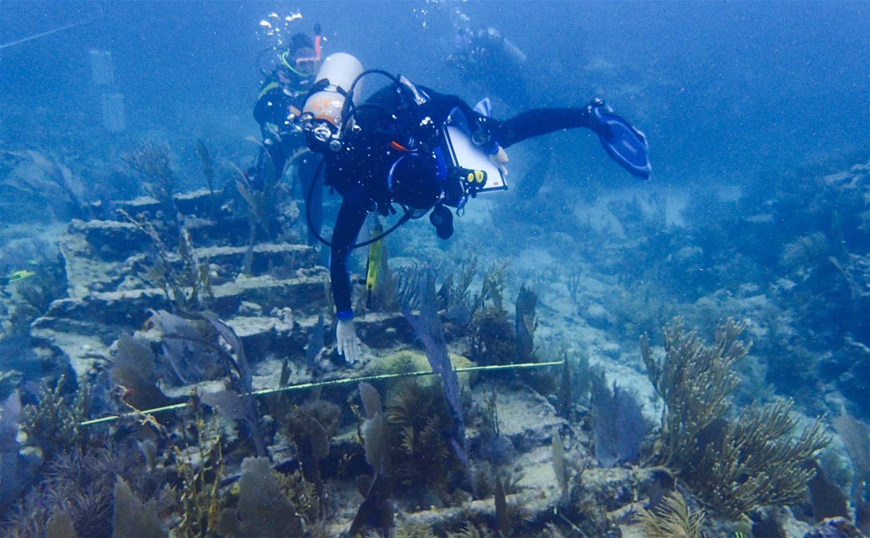   لغز أصوات حيوانية غامضة في أعماق البحار يحير العلماء