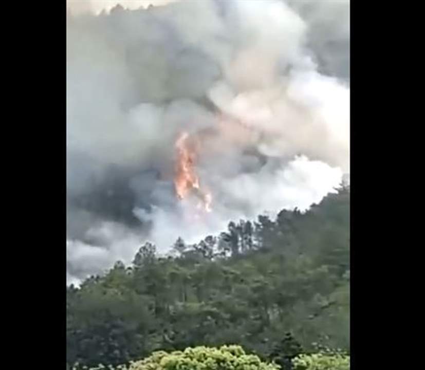 بالفيديو - تحطم طائرة ركاب تابعة للخطوط الجوية الصينية على متنها 133 راكبا 