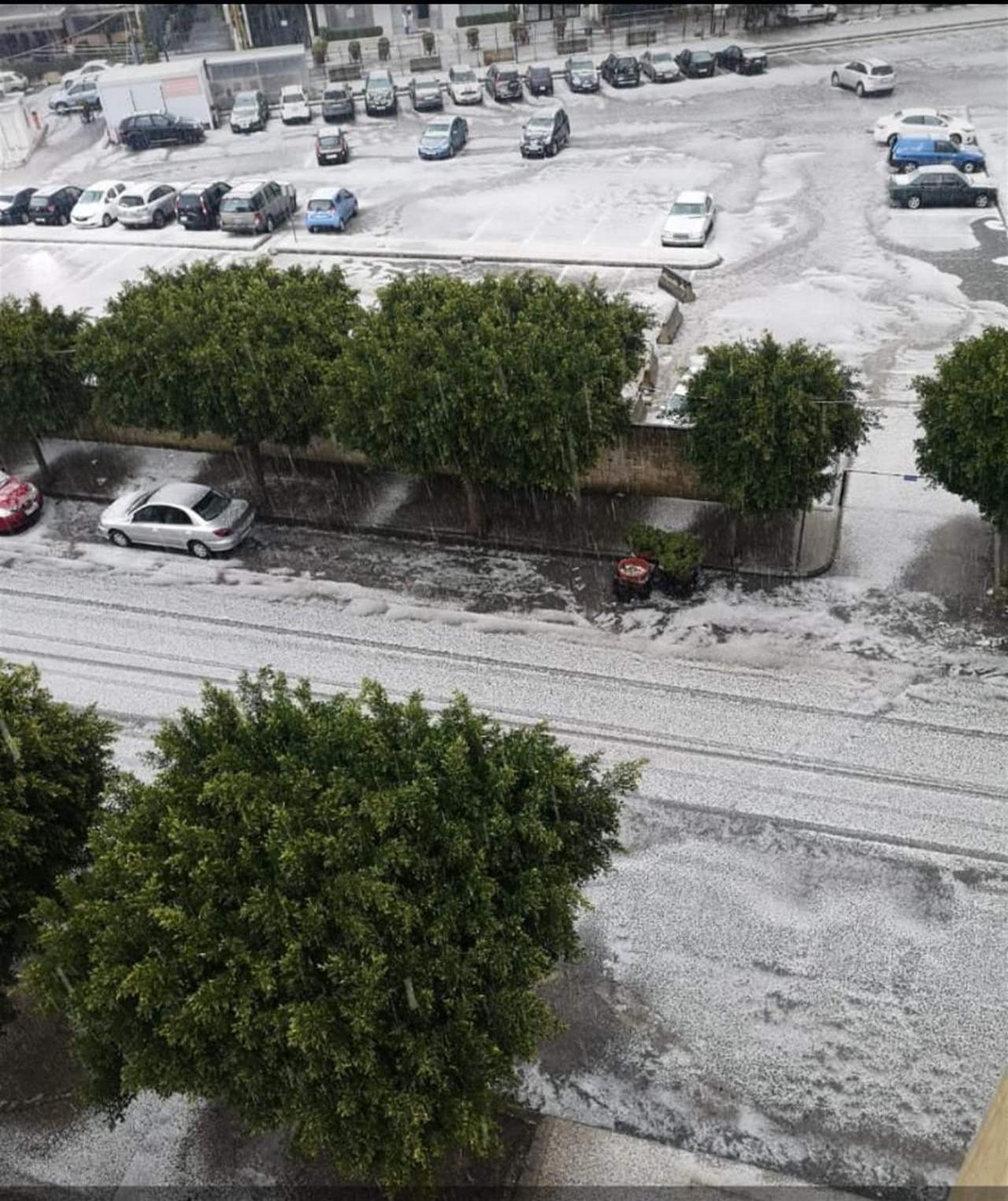 بالصور والفيديو - ثلوج في صيدا  وصاعقة قوية تتسبب باضرار عدة