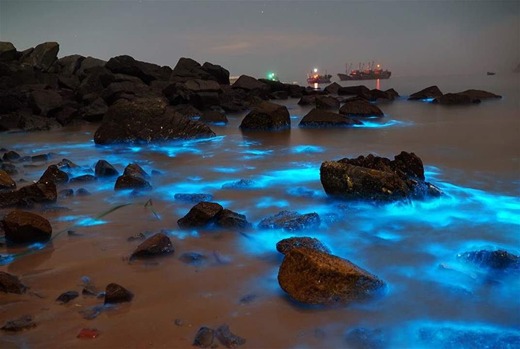 بالصور ـ مشهد من الأحلام .. الأزرق المتوهج يغزو شواطئ جزيرة صينية