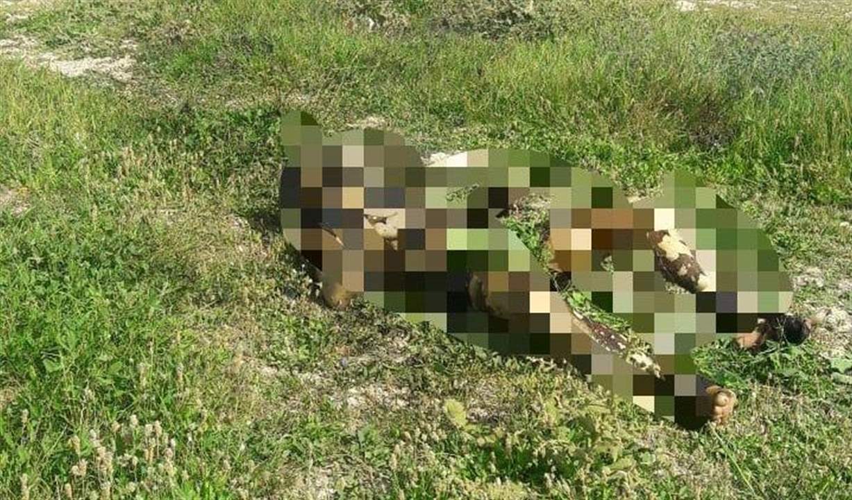 إنقاذ مواطن حاول إحراق نفسه في صيدا