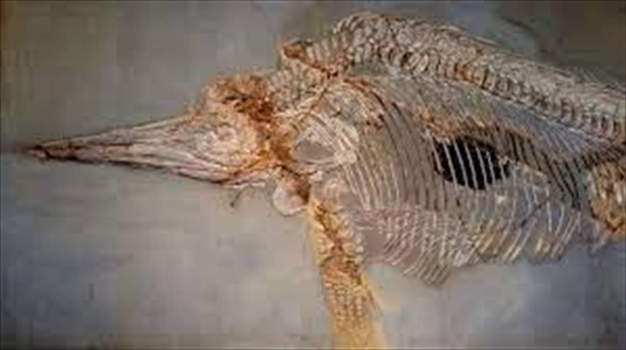 "إكثيوصور" قديم يشبه حوتا في جبال الألب السويسرية... وزنه 80 طناً بطول 28 متراً!