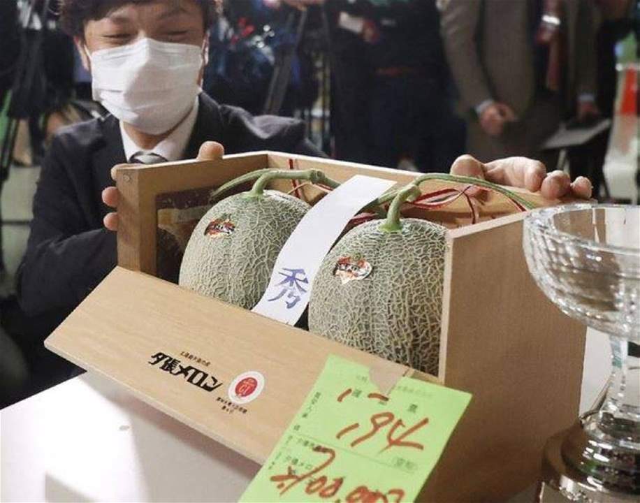 بيع ثمرتي شمام بمزاد علني في اليابان .. بأكثر من 23 ألف دولار !