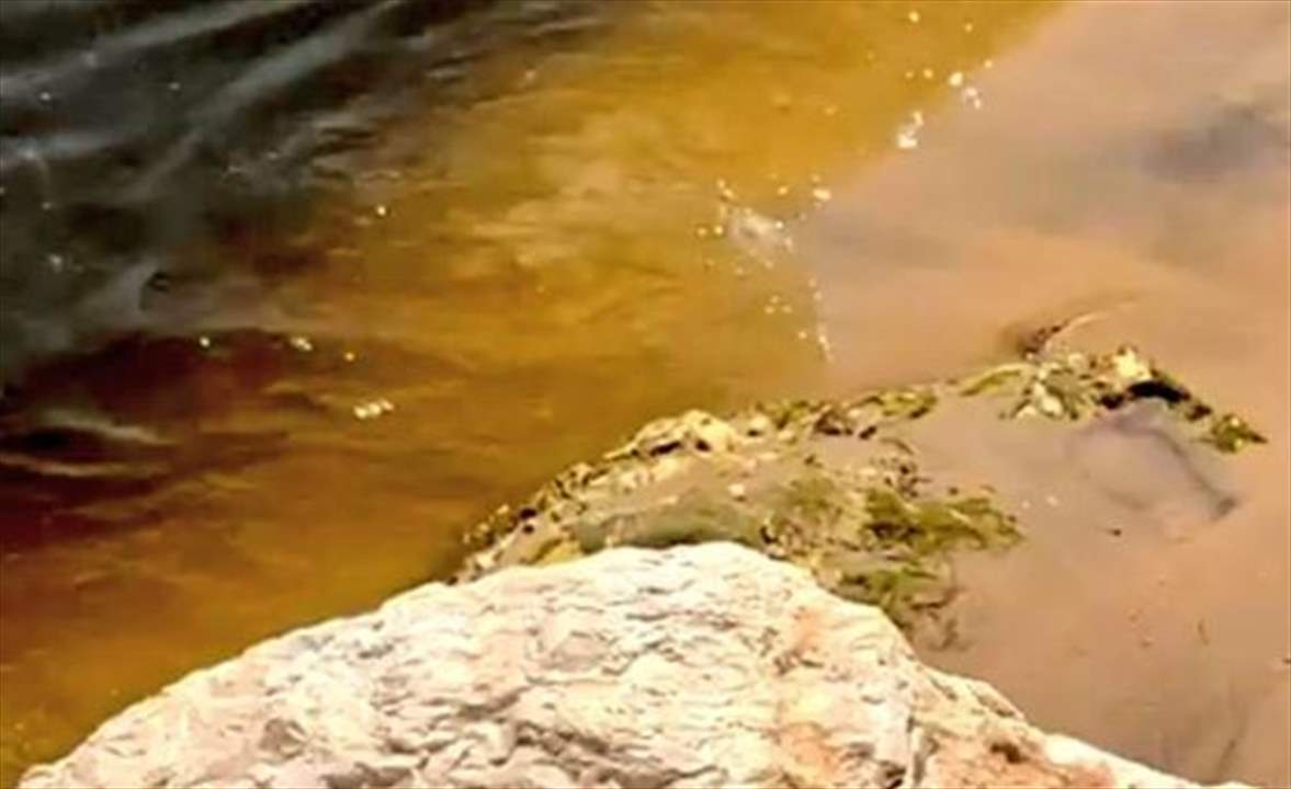  بالفيديو ـ ظهور مياه صفراء على شاطئ ضبية .. تتسبب بحالة ذعر 