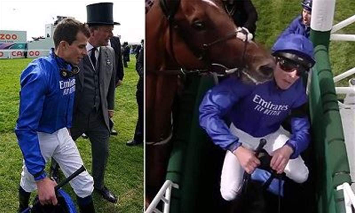 بالفيديو - الجواد انطلق بلا الخيّال ولن تُصدّقوا السبب !!