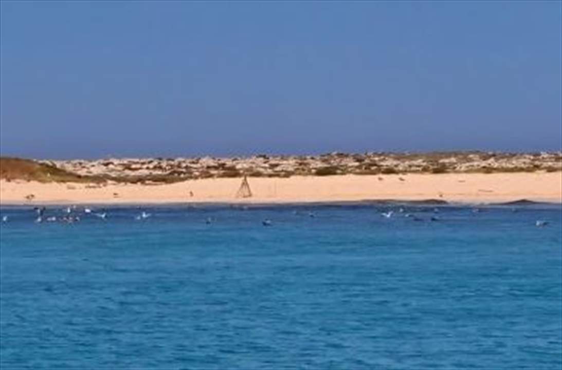 بالفيديو - وزير البيئة ناصر ياسين يعلن افتتاح موسم زيارة محمية جزر النخل الطبيعية