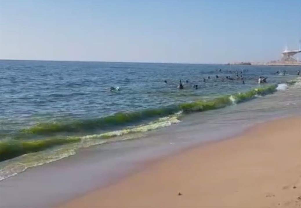 بالفيديو - تحول لون البحر في صيدا للأخضر يثير الجدل