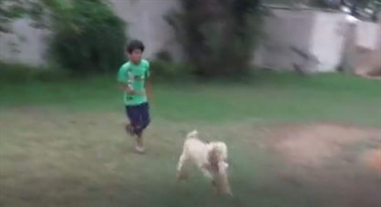 بالفيديو: تيس يتمتع بصفة غريبة للغاية 