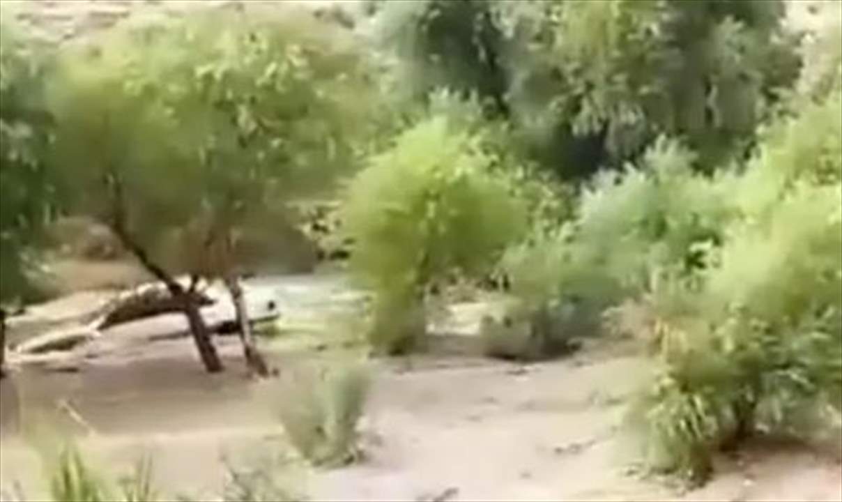 بالفيديو - سيول في جنوب ايران ووقوع قتلى ومفقودين 