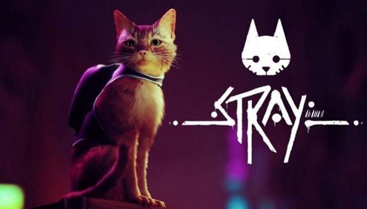   بالفيديو ـ لعبة مغامرة جديدة ومثيرة .. "Stray" تجعلك ترى العالم بعيون القطط !