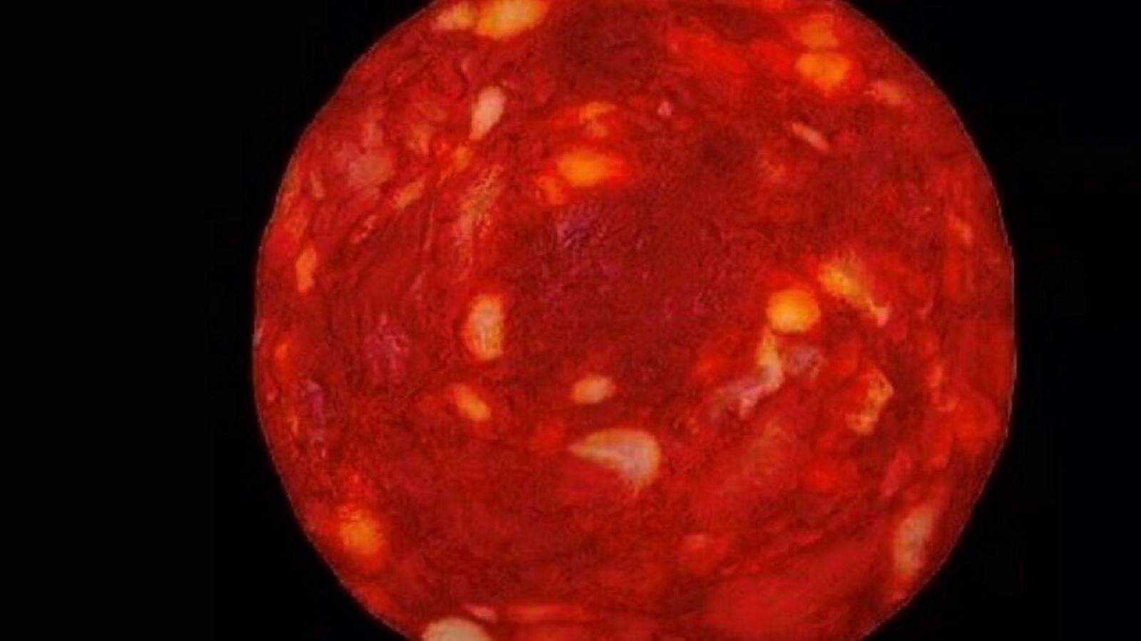 عالم فرنسي يستعمل صورة قطعة "نقانق" على أنها للنجم "بروكسيما سنتور" .. ويعتذر !!