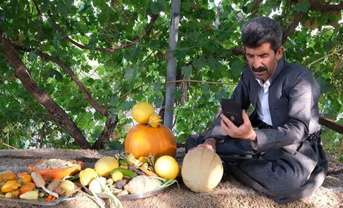 بالفيديو ـ فلاح عراقي من إقليم كردستان يكتسح مواقع التواصل بنصائح زراعية