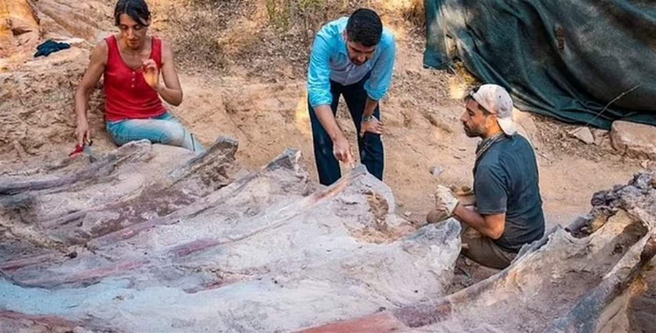 رجل يعثر في فناء منزله على هيكل عظمي لأكبر ديناصور في أوروبا.. عاش قبل 160 مليون عام وطوله 25 متراً