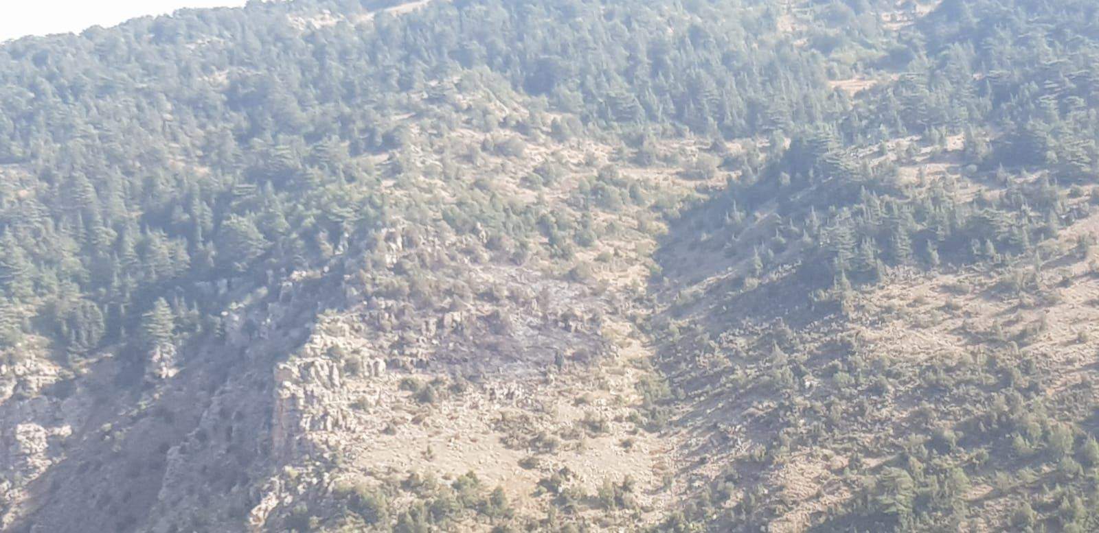   مراسلة "الجديد": تمت السيطرة على الحريق في محمية أرز تنورين بشكل كامل  والبلدية والاهالي يناشدون الجيش لارسال طوافات لتبريد مكان الحريق خوفًا من تجدده