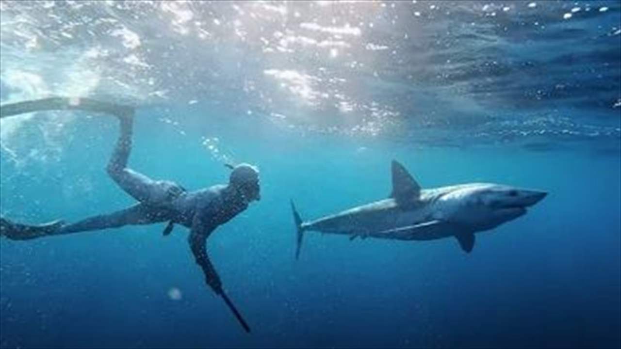 شاهدوا هجمات سمك القرش الأكثر وحشية 