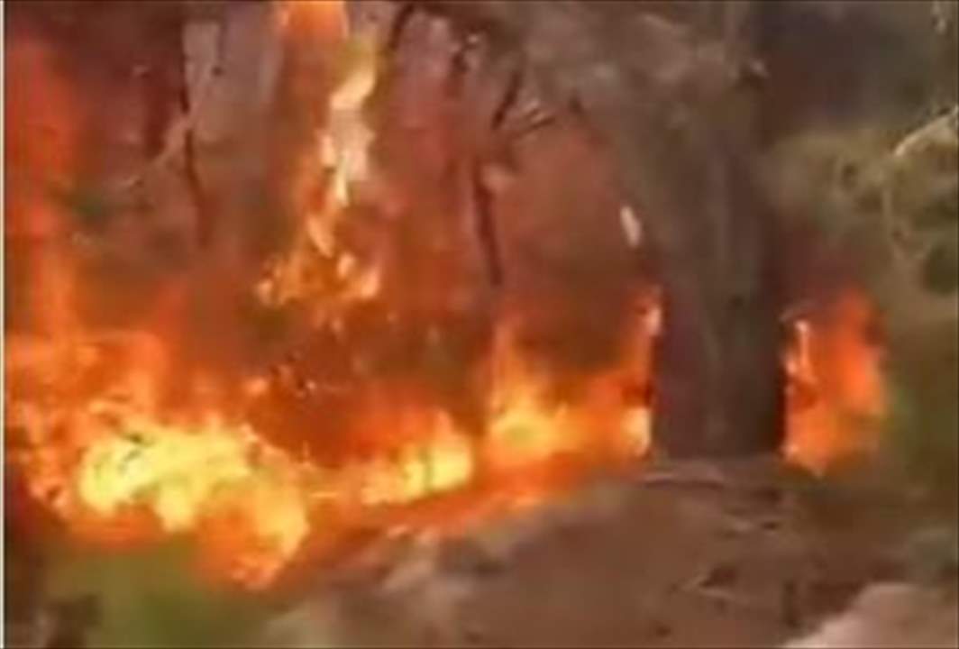 مراسل "الجديد": حريق في الغابات الصنوبرية في تلة حنا