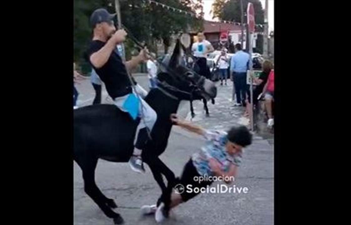 بالفيديو - سيدة مُسنّة ضحيّة دهس في سباق الحمير! 