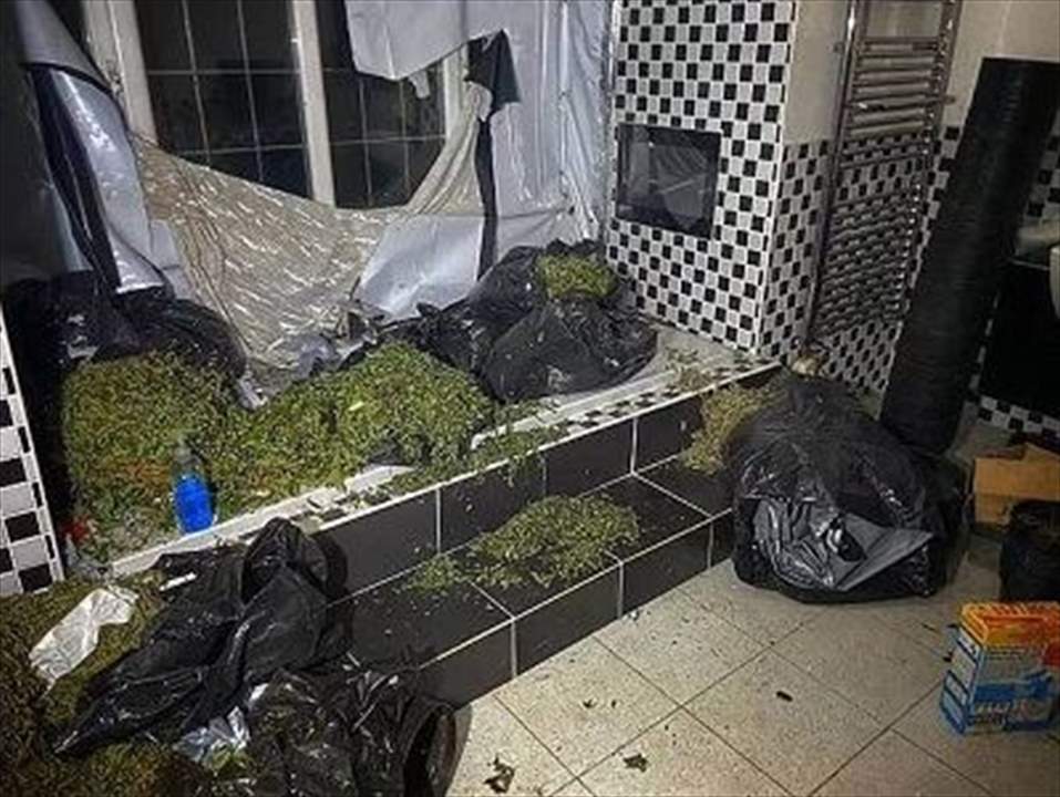 صور - قصر النجم الانجليزي غارق بالماريجوانا فما هي الحقيقة؟