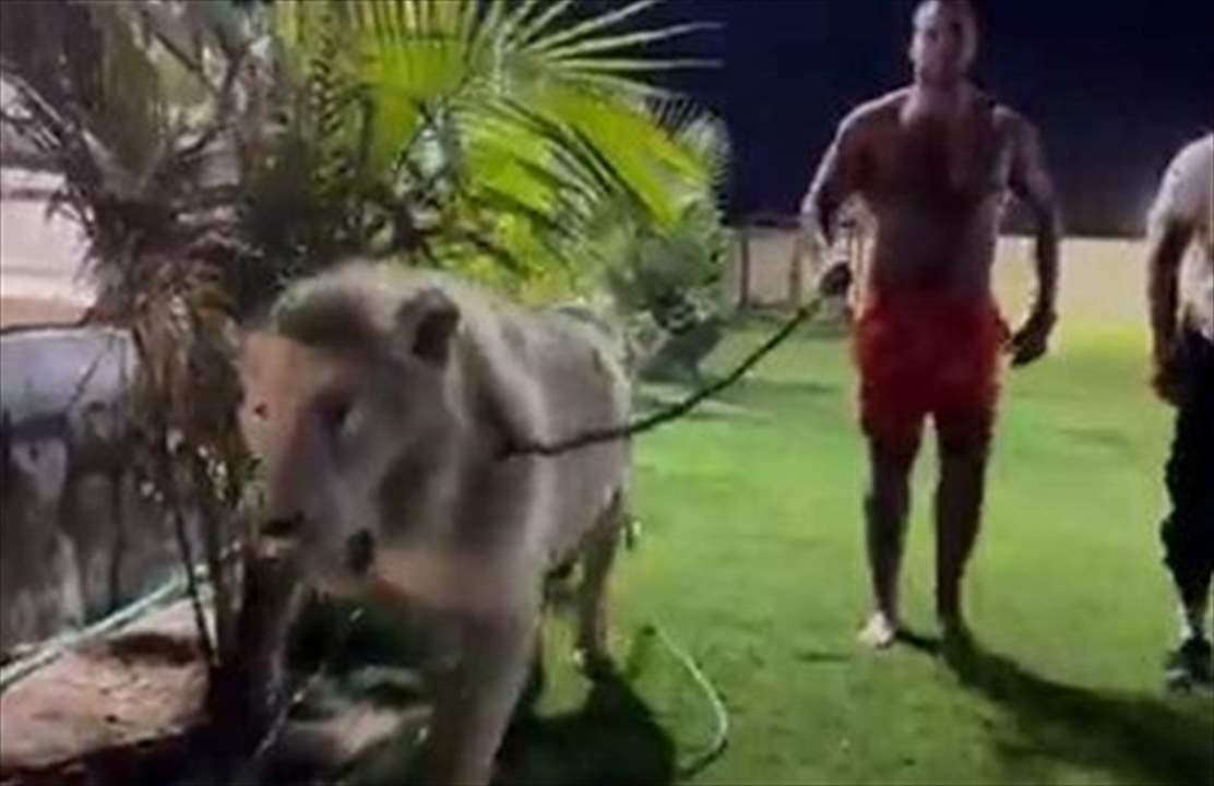 ملاكم سوري - بيروتيّ المولد يتحدي فيوري فكيف ردّ؟