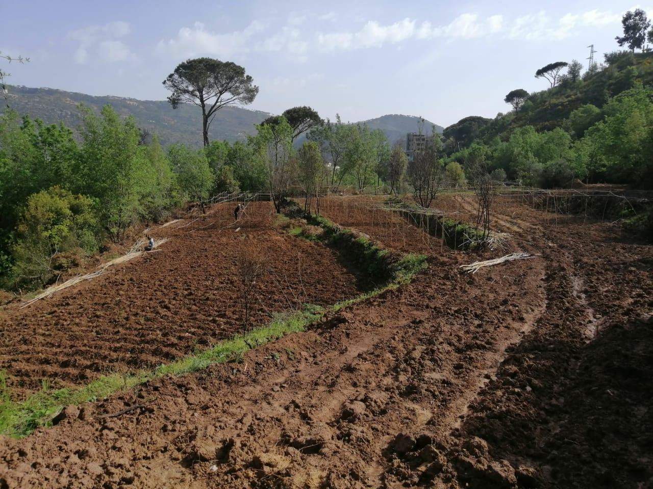 لبنان يقدم قطعة ارض هبة لبناء مقر لجامعة الدول العربية