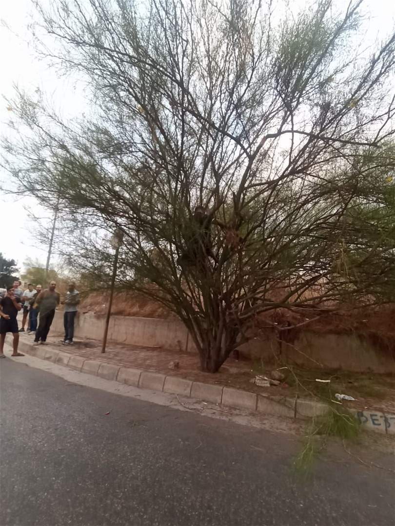 بعد ان وُجد متوفياً في منطقة الجناح.. شقيقة الشاب خالد الحمادة ابراهيم توضح: أخي لم ينتحر بل توفي بسبب جلطة 