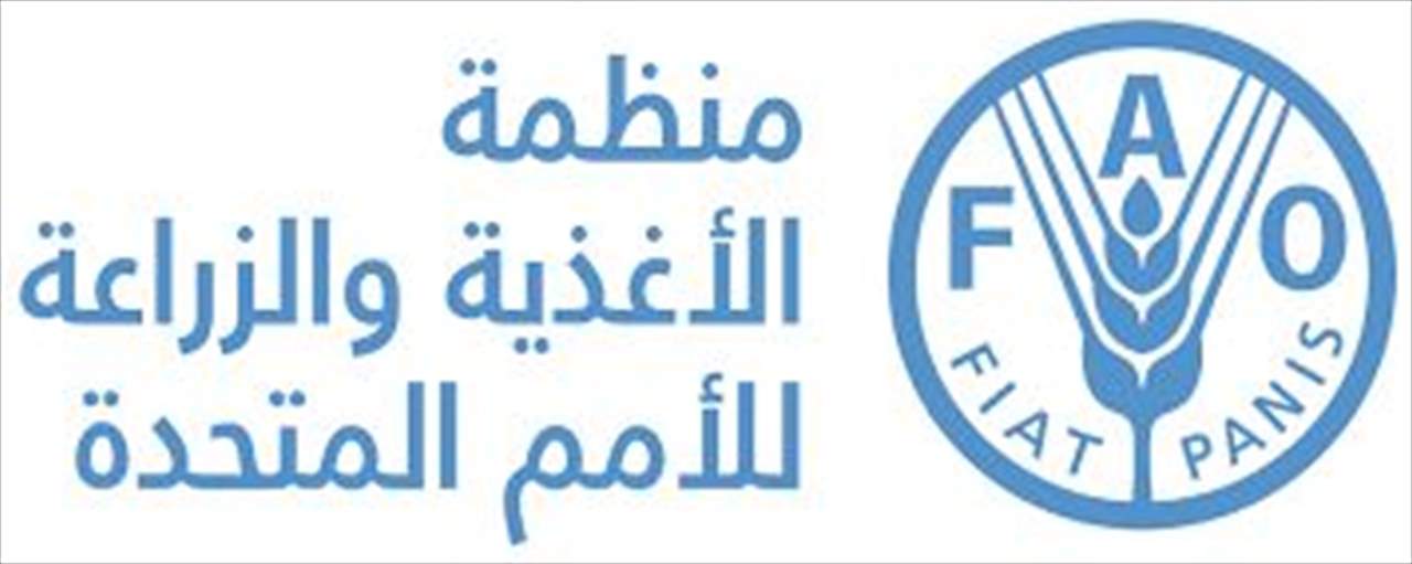 "فاو": تكاليف استيراد الغذاء اتفعت لمستوى قياسي 