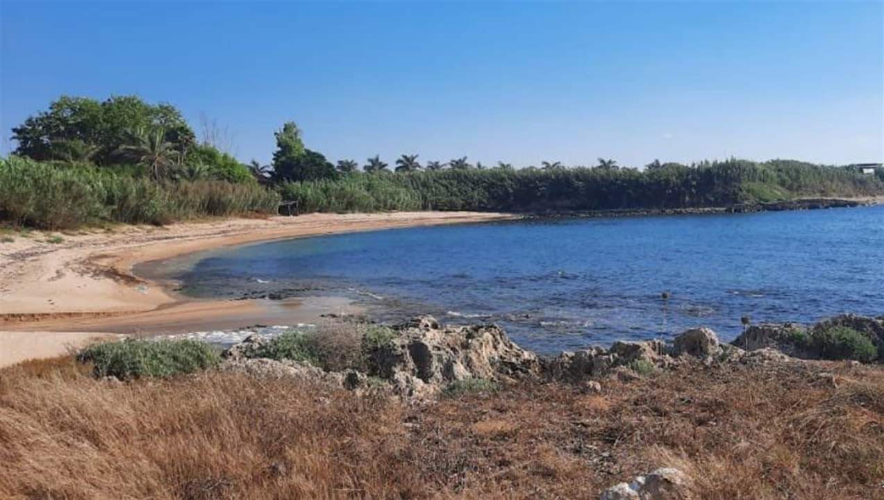   العثور على كمية كبيرة من الحشيشة على شاطئ عدلون والصرفند