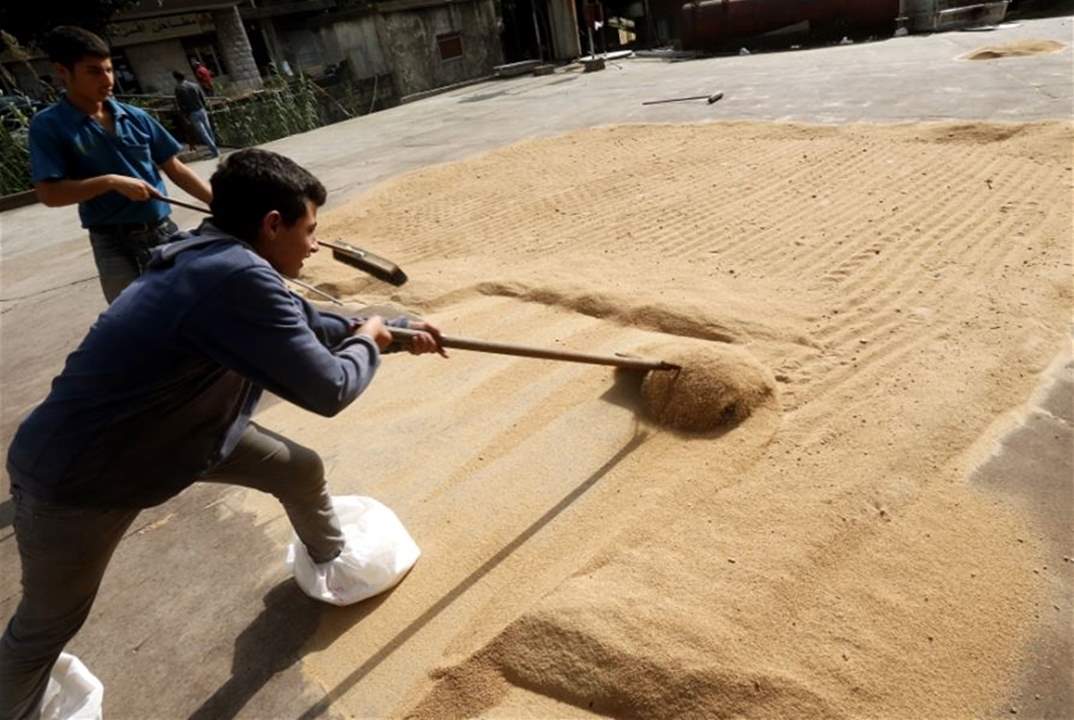 "الاخبار": رئيس مصلحة الأبحاث الزراعية يلعب بالأمن الغذائي... هل ينفّذ أفرام "قراراً" بمنع لبنان من زراعة القمح؟