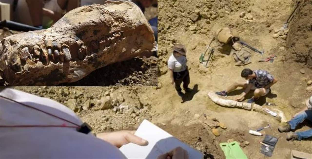 اكتشاف كائن بحري عملاق عمره 100 مليون عام