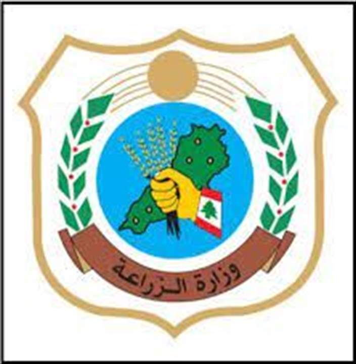 وزارة الزراعة أعلنت مواعيد تسليم بذار القمح الطري مجاناً" في 23 و24 و27 الحالي